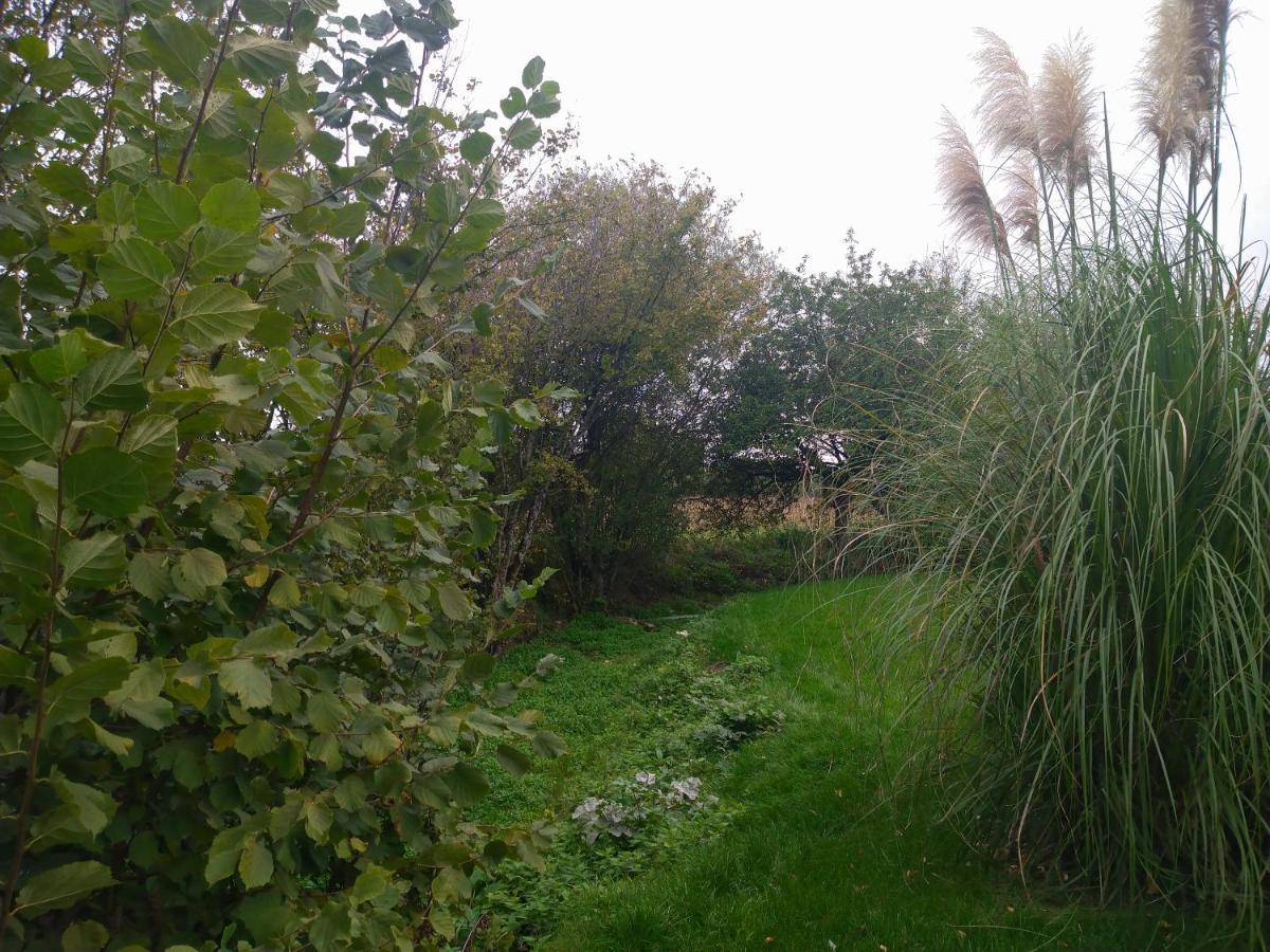 Gîte de La Basse Roche Souge  Exterior foto